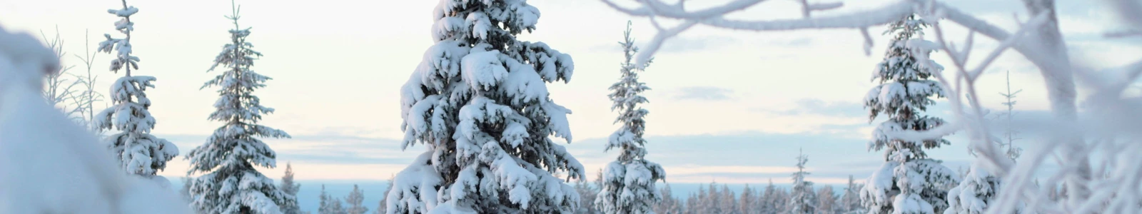 Geïnspireerd door Lapland