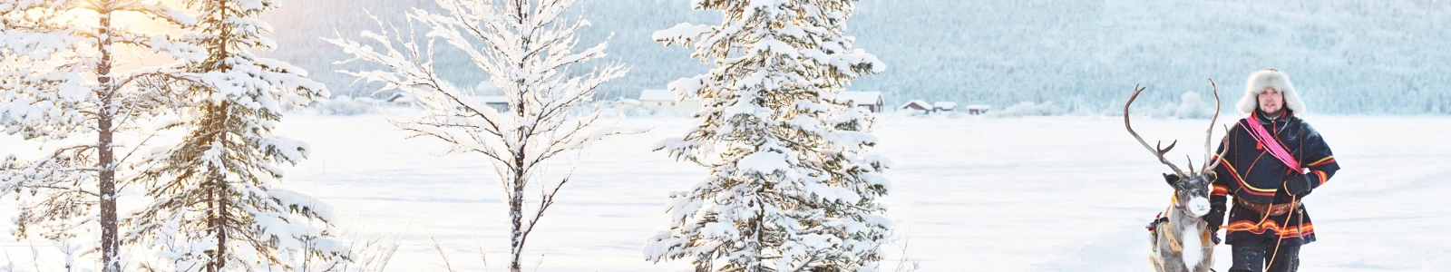 Rechtstreekse vlucht naar Zweeds Lapland in de winter
