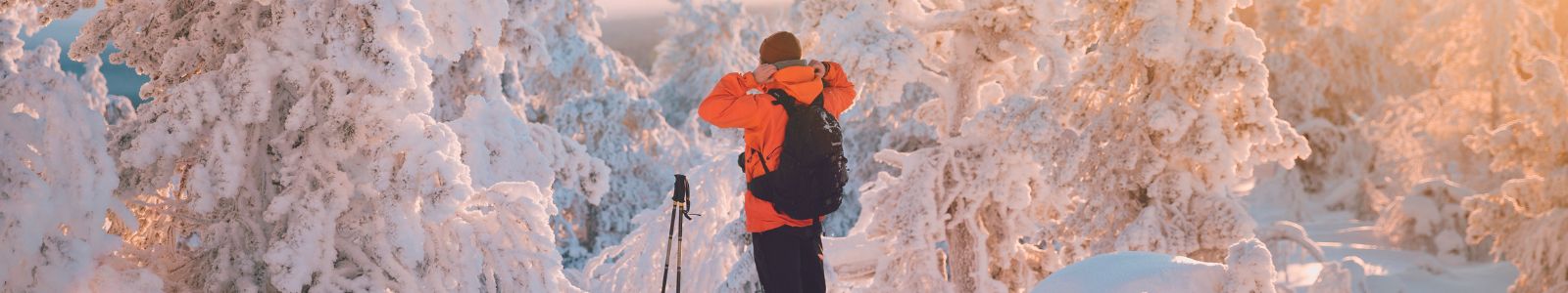 Slow travel in Lapland