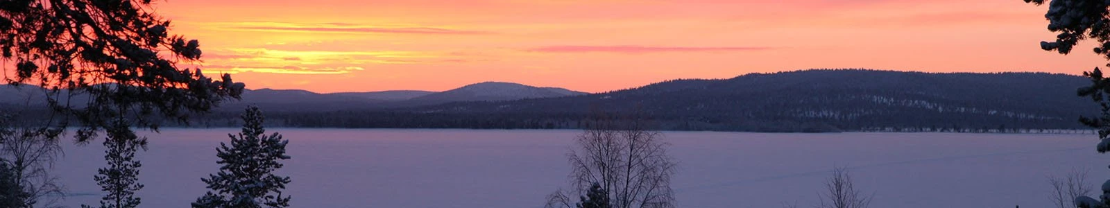 Wat is Kaamos?
