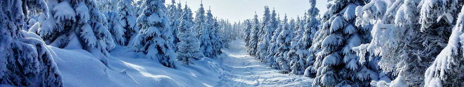 Hoe ziet kerst in Finland eruit?