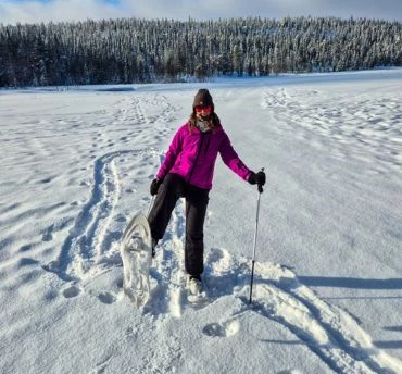 reis lapland
