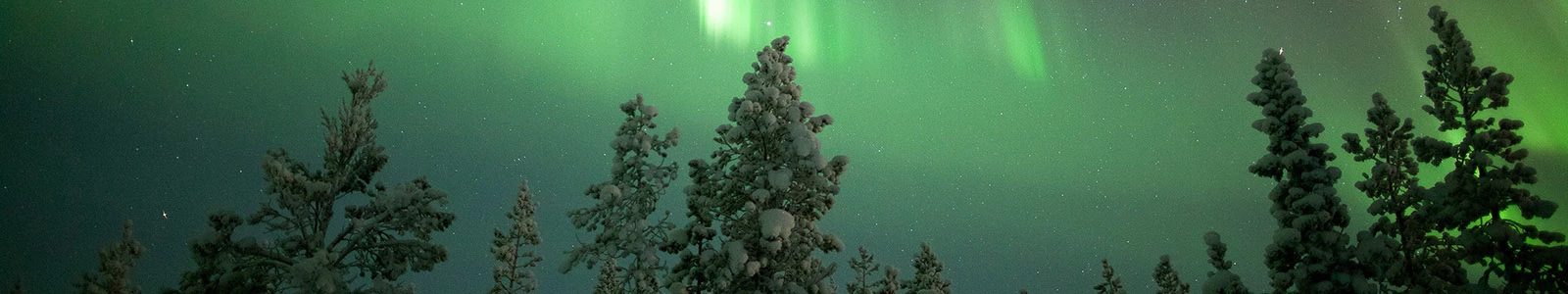 Oud & Nieuw Lapland