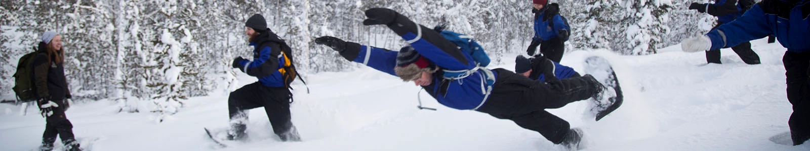 Singlereizen naar Lapland