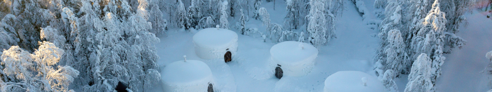 Incentive Lapland ervaringen