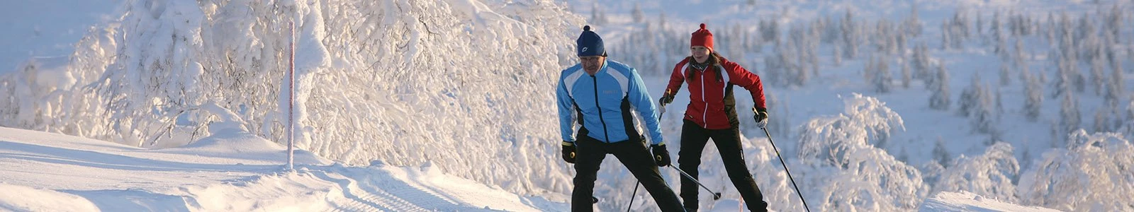 Reisinformatie Inari-Saariselkä