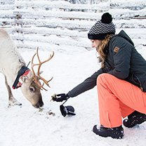5-daagse lapland