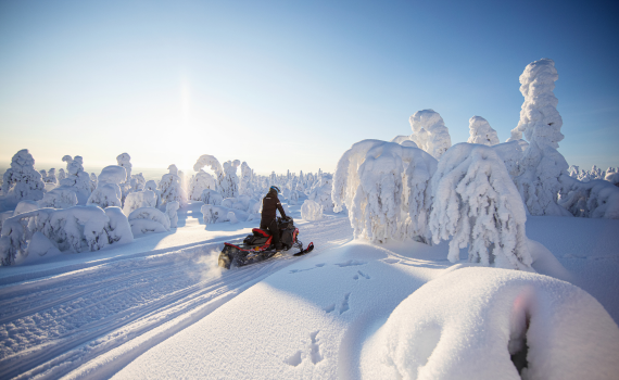 Midweek Ruka Trek