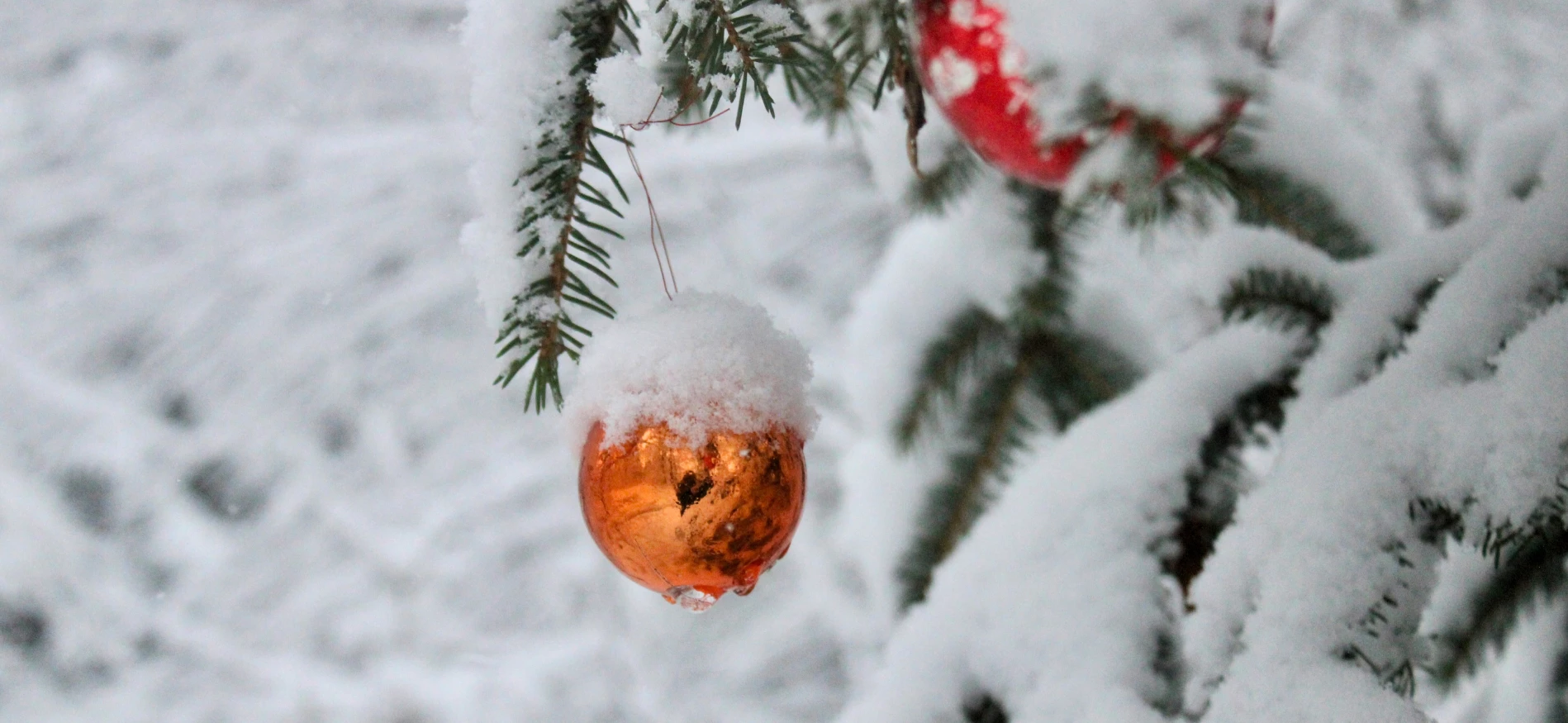 Kerst Lapland