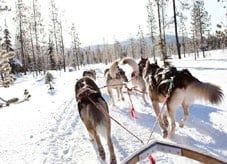 Actief - Boordevol inbegrepen activiteiten