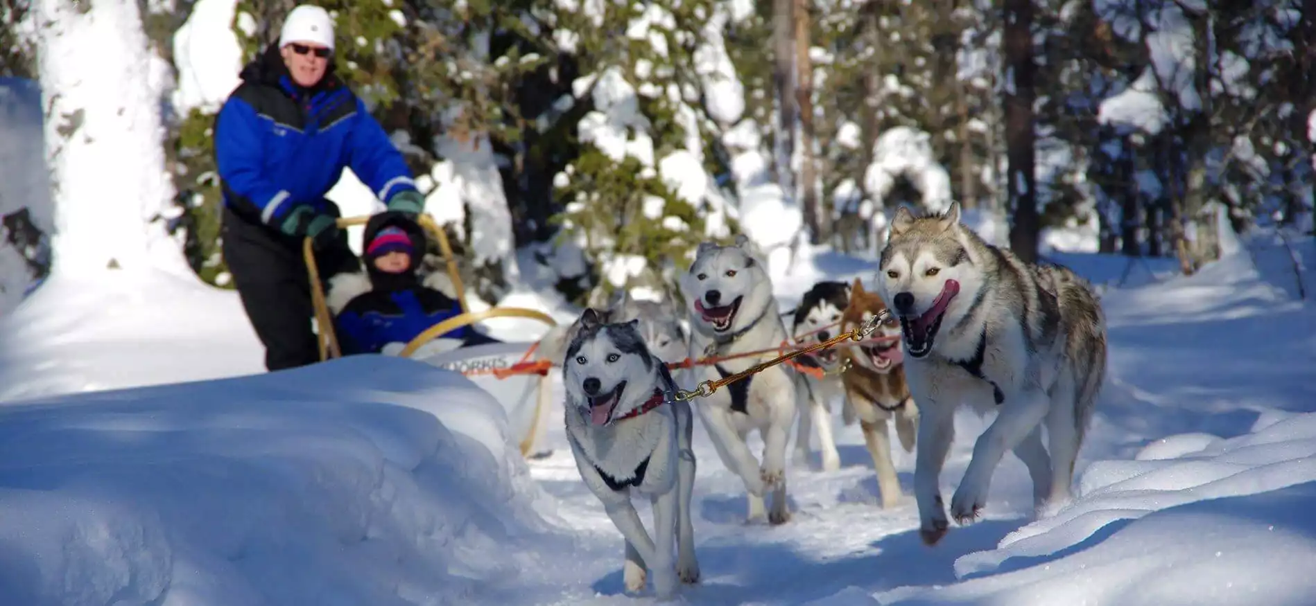 Veelgestelde vragen Lapland