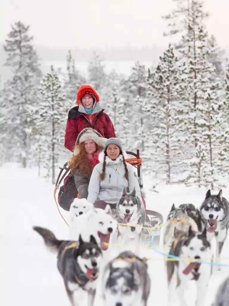 Lapland reizen in de winter