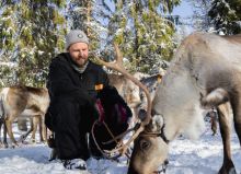 Short breaks - In 4 of 5 dagen een complete Lapland ervaring